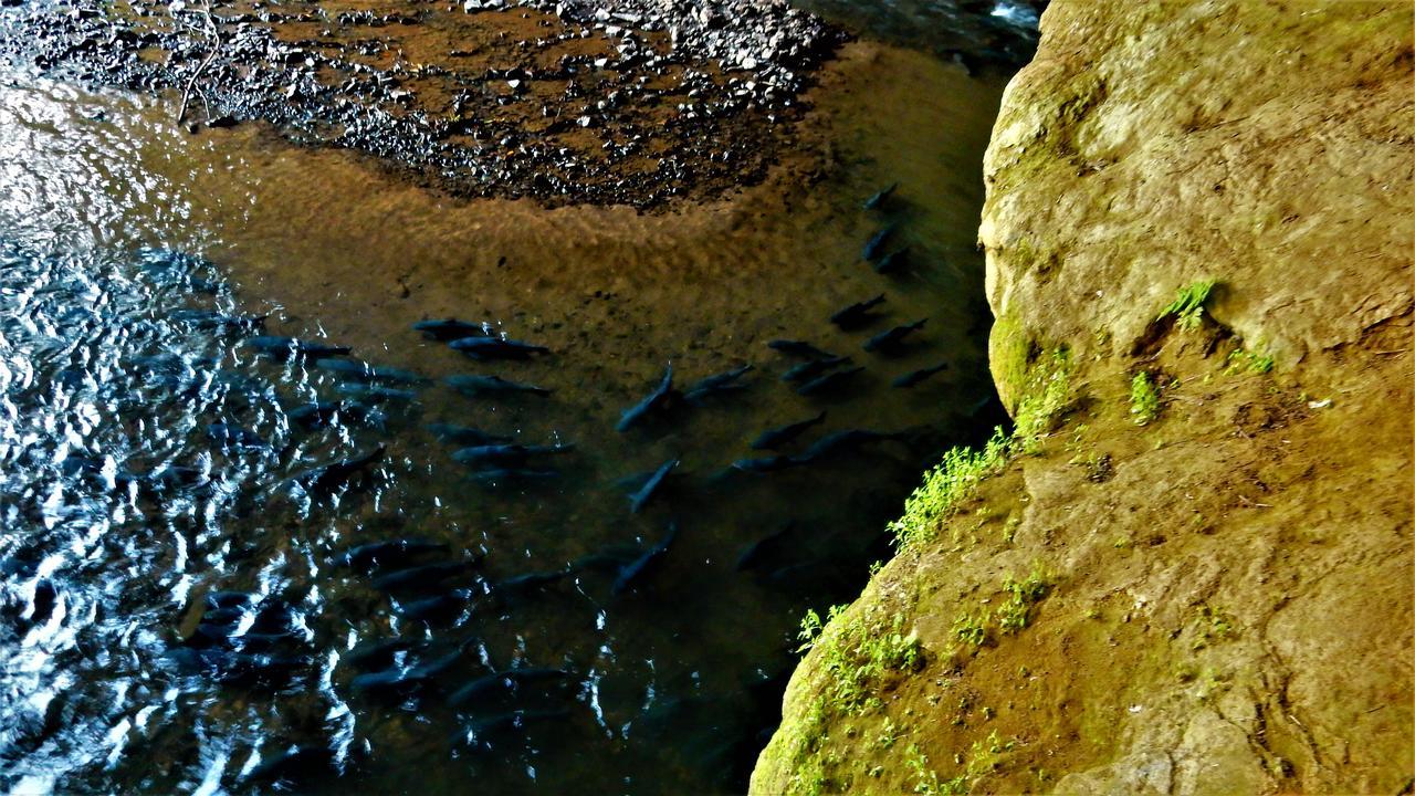 Riverside Ban Cho Lae Dış mekan fotoğraf